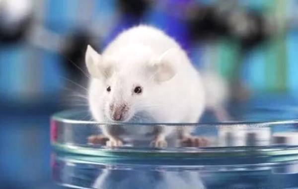 ���������գ�ADP������