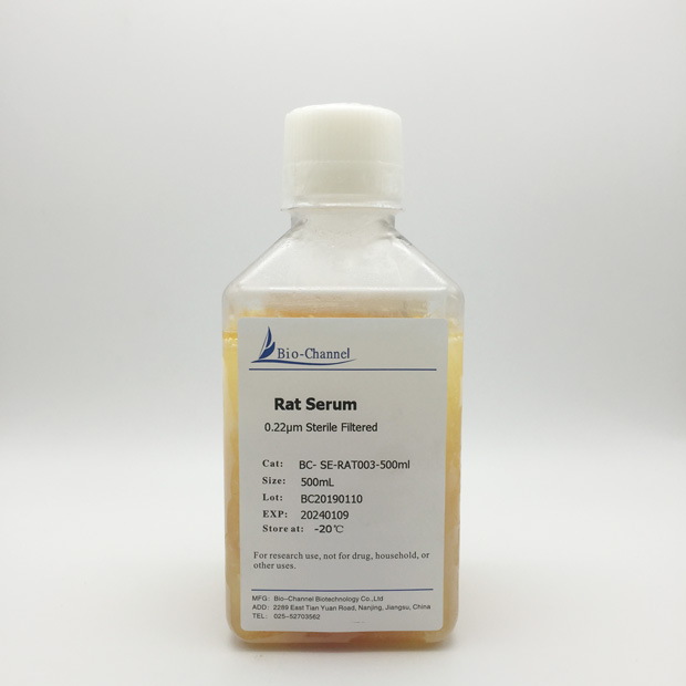 ����Ѫ��