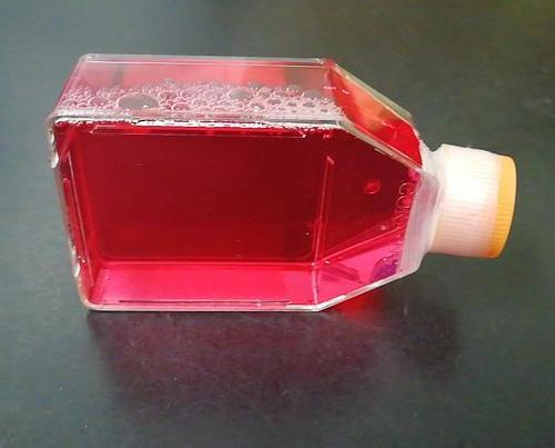 ��- MEM����Һ��1.5G/L̼�����ƣ�-500ml