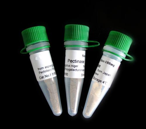 �Ͳ�����̴������¡����